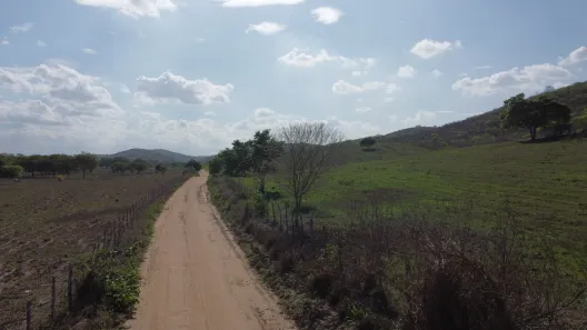 Fazenda / Sítio / Chácara à venda, 170m² no , Passira