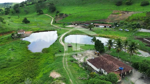 Fazenda / Sítio / Chácara à venda, 451900m² no , Canhotinho
