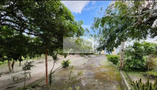 Fazenda / Sítio / Chácara com 3 Quartos à venda, 250m² no , Sairé