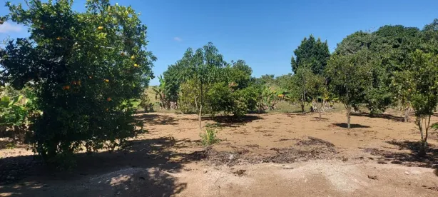 Fazenda / Sítio / Chácara com 3 Quartos à venda, 20000m² no Brazlândia, Brasília