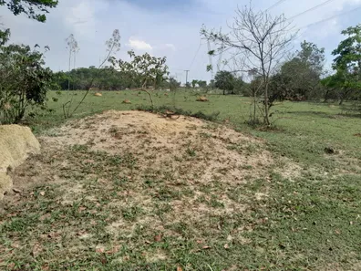 Fazenda / Sítio / Chácara com 2 Quartos à venda, 490000m² no Área Rural de Novo Gama, Novo Gama