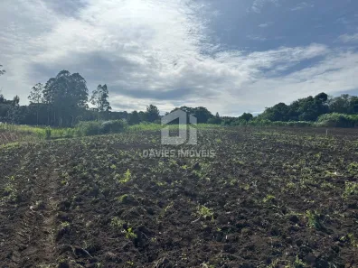 Fazenda / Sítio / Chácara com 6 Quartos à venda, 53000m² no Cachoeira, São José dos Pinhais