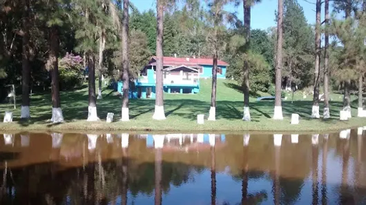 Fazenda / Sítio / Chácara com 3 Quartos à venda, 350m² no Barrinha, São Lourenço da Serra
