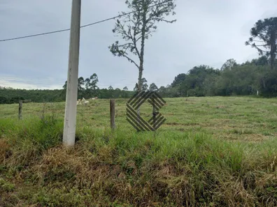 Fazenda / Sítio / Chácara com 3 Quartos à venda, 300m² no , Pilar do Sul