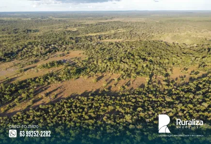 Fazenda / Sítio / Chácara à venda, 590m² no , Pium