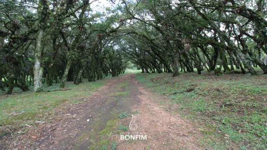 Fazenda / Sítio / Chácara à venda, 86000m² no Cachoeira de São José, São José dos Pinhais