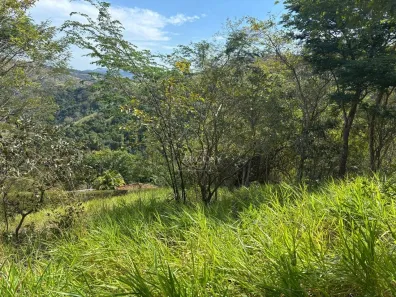 Terreno / Lote / Condomínio à venda, 1262m² no Areal, Areal