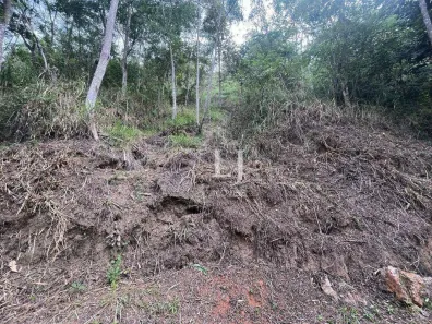 Terreno / Lote / Condomínio à venda, 772m² no Pedro do Rio, Petrópolis