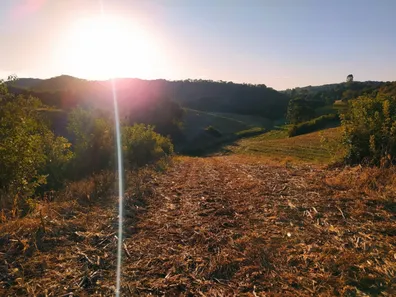 Fazenda / Sítio / Chácara à venda, 48400m² no Pacotuba, Almirante Tamandaré