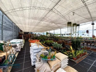 Galpão / Depósito / Armazém para alugar, 731m² no Várzea, Teresópolis