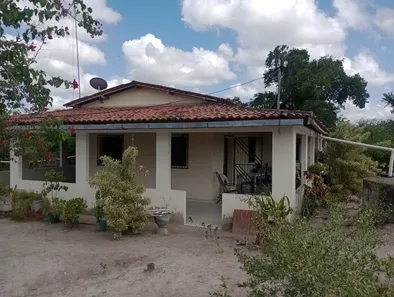 Fazenda / Sítio / Chácara com 3 Quartos à venda, 40000m² no , Passira