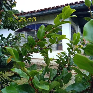 Fazenda / Sítio / Chácara com 3 Quartos à venda, 100m² no Itaquaciara, Itapecerica da Serra