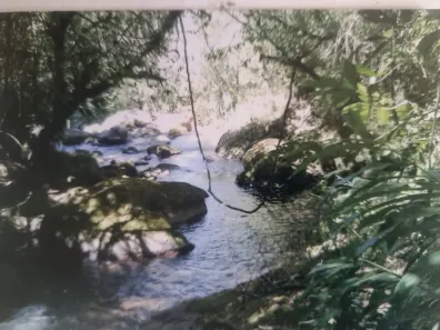 Fazenda / Sítio / Chácara à venda, 230m² no Visconde de Mauá, Resende