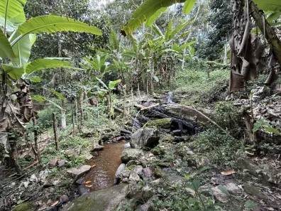 Fazenda / Sítio / Chácara com 6 Quartos à venda, 30000m² no , Pacoti