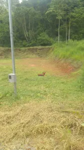 Fazenda / Sítio / Chácara com 1 Quarto à venda, 5000m² no Área Rural de Viçosa, Viçosa