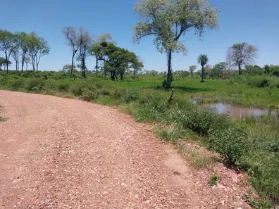 Fazenda / Sítio / Chácara com 3 Quartos à venda, 700000m² no , Anastácio