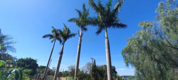 Terreno / Lote / Condomínio à venda, 1109m² no , Alvorada do Sul