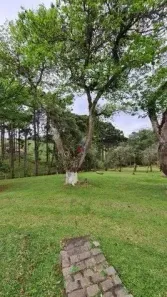Fazenda / Sítio / Chácara com 6 Quartos à venda, 144000m² no Jardim Pinheiros, Quatro Barras