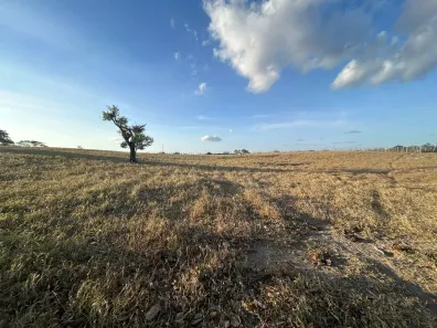 Fazenda / Sítio / Chácara à venda, 45000m² no , Sairé
