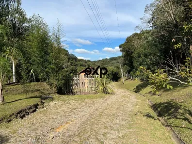 Fazenda / Sítio / Chácara com 1 Quarto à venda, 20600m² no Borda do Campo, São José dos Pinhais