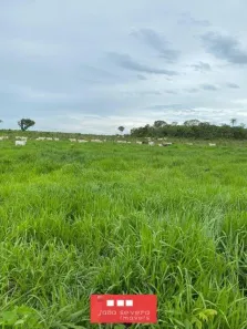 Fazenda / Sítio / Chácara à venda, 1064800m² no Plano Diretor Sul, Palmas