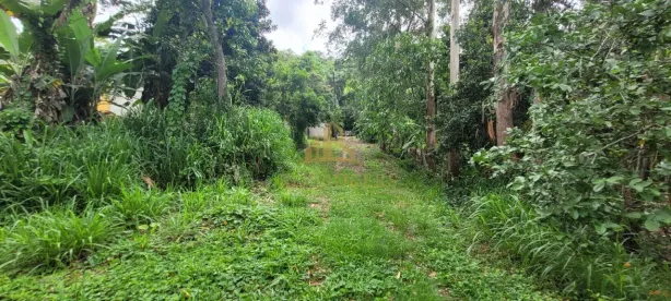 Fazenda / Sítio / Chácara com 4 Quartos à venda, 2100m² no Califórnia da Barra, Barra do Piraí