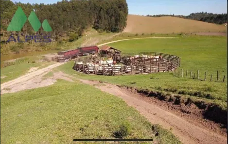 Fazenda / Sítio / Chácara com 7 Quartos à venda, 300m² no Campo Largo da Roseira, São José dos Pinhais