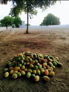 Terreno / Lote / Condomínio à venda, 465m² no Aldeia dos Camarás, Camaragibe