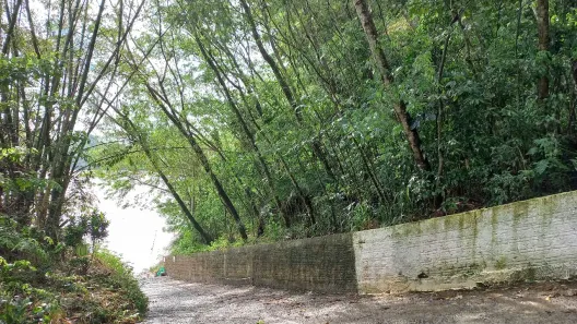 Casa de Condomínio com 3 Quartos à venda, 180m² no , Doutor Camargo