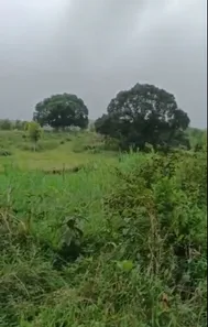 Fazenda / Sítio / Chácara à venda, 2000m² no , Joaquim Gomes