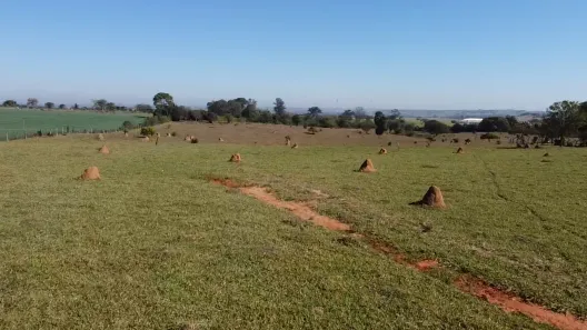 Fazenda / Sítio / Chácara à venda, 31460m² no , Laranjal Paulista