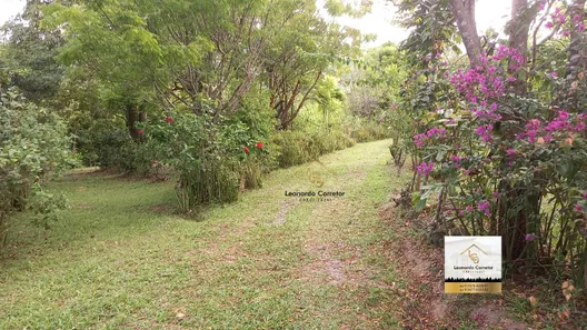 Fazenda / Sítio / Chácara com 7 Quartos à venda, 36000m² no Gravatá Centro, Gravatá