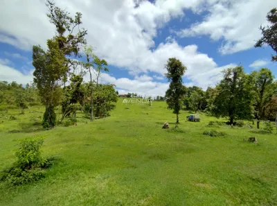 Fazenda / Sítio / Chácara com 6 Quartos à venda, 208036m² no , Campina Grande do Sul