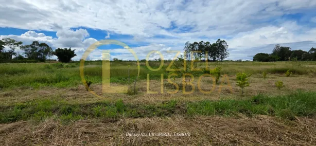 Fazenda / Sítio / Chácara com 3 Quartos à venda, 20000m² no Brazlândia, Brasília