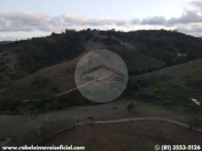 Fazenda / Sítio / Chácara à venda, 1100000m² no , Chã Grande