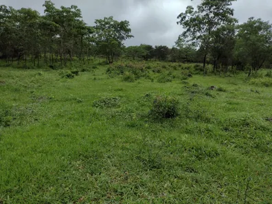 Terreno / Lote / Condomínio à venda, 20000m² no , Fortuna de Minas