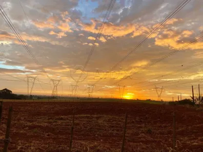 Fazenda / Sítio / Chácara com 5 Quartos à venda, 121000m² no Recreio Campestre Idanorma, Araraquara