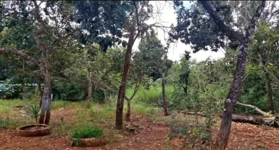Fazenda / Sítio / Chácara à venda, 4500m² no , Brasília