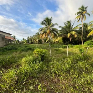 Terreno / Lote / Condomínio à venda, 40000m² no Centro, Barra dos Coqueiros