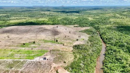 Fazenda / Sítio / Chácara à venda, 1m² no , Rio Sono