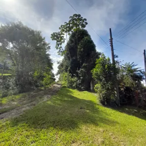 Fazenda / Sítio / Chácara com 2 Quartos à venda, 8372m² no Paiol do Meio, São Lourenço da Serra