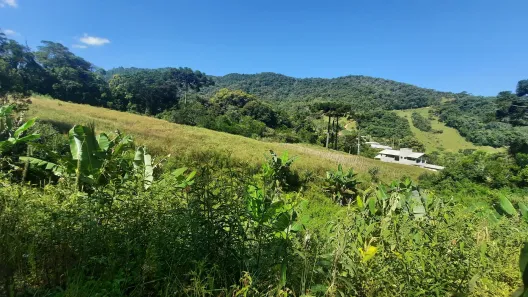 Fazenda / Sítio / Chácara com 2 Quartos à venda, 20000m² no , Águas Mornas