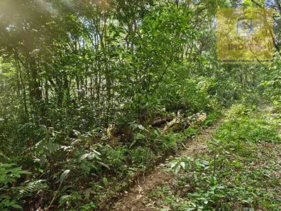 Terreno / Lote / Condomínio à venda, 240000m² no Itaqui de Cima, Campo Largo