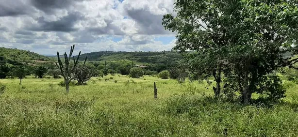 Fazenda / Sítio / Chácara com 3 Quartos à venda, 100m² no Alpes Suiços, Gravatá
