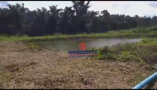 Fazenda / Sítio / Chácara com 2 Quartos à venda, 300000m² no Centro, Santa Rita