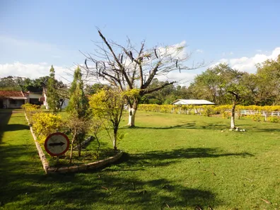 Fazenda / Sítio / Chácara com 2 Quartos à venda, 10000m² no Centro, Ibiporã