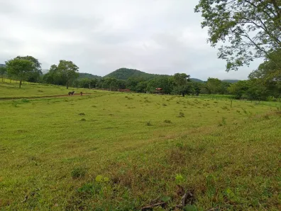 Fazenda / Sítio / Chácara com 3 Quartos à venda, 130000m² no , Padre Bernardo