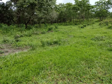 Terreno / Lote / Condomínio à venda, 20000m² no Zona Rural, Fortuna de Minas