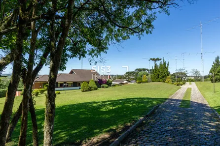 Fazenda / Sítio / Chácara com 5 Quartos à venda, 750m² no Roseira de São Sebastião, São José dos Pinhais