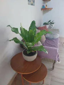 Fazenda / Sítio / Chácara com 3 Quartos à venda, 142m² no Los Álamos, Vargem Grande Paulista